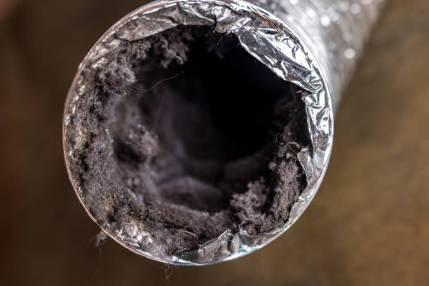 Best Air Duct Cleaning Near Me  in Rotonda, FL